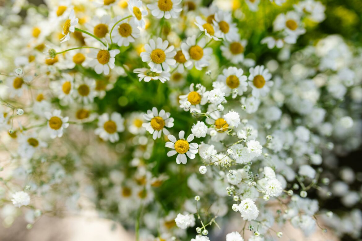 “The Ultimate Guide to Event Floral Design: Crafting Beauty and Elegance”