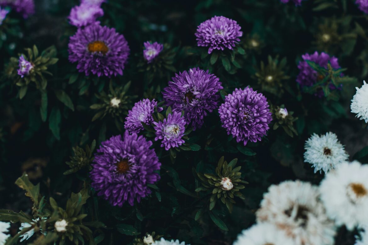 Corporate Flower Delivery: Elevate Your Workspace with Elegance